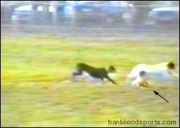 video 9 still a
