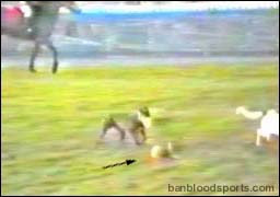 video 9 still b