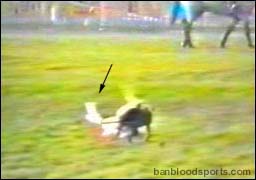 video 9 still e