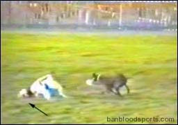 video 9 still f